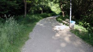 Das Erlenwäldchen in Erlensee in Hessen.