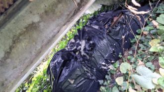 Ein herrenloser Koffer, eingewickelt in schwarzen Plastiktüten.