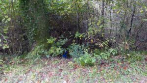 Ein blauer Müllsack im Wald an einer Böschung aus zwei Perspektiven.