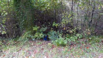 Ein blauer Müllsack im Wald an einer Böschung aus zwei Perspektiven.