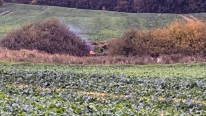 Handyaufnahme des Tümpels. In einiger Entfernung erkennt man am Ufer des Gewässers die lodernden Flammen eines Feuers