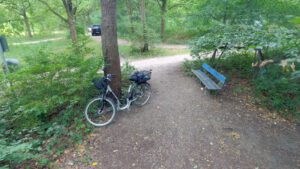 Die Parkbank, an der das Opfer angegriffen wurde.